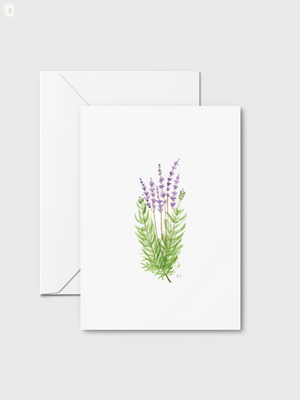 Floral Collection - 8 blank notecards + envelopes