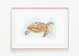 Watercolor Workshop - Sea Turtle
