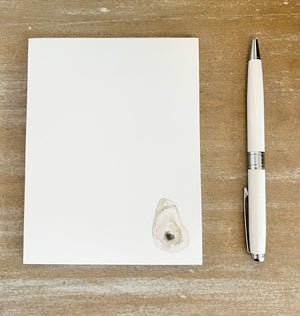 Oyster Notepad